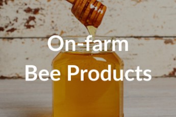 On Farm Bee Products